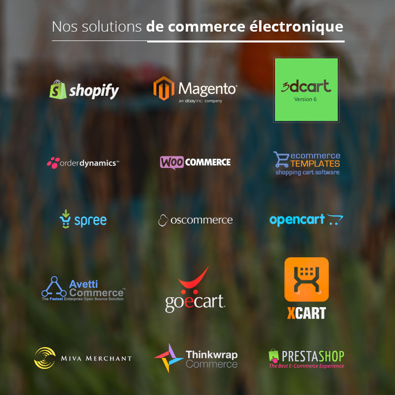 Solutions de commerce électronique